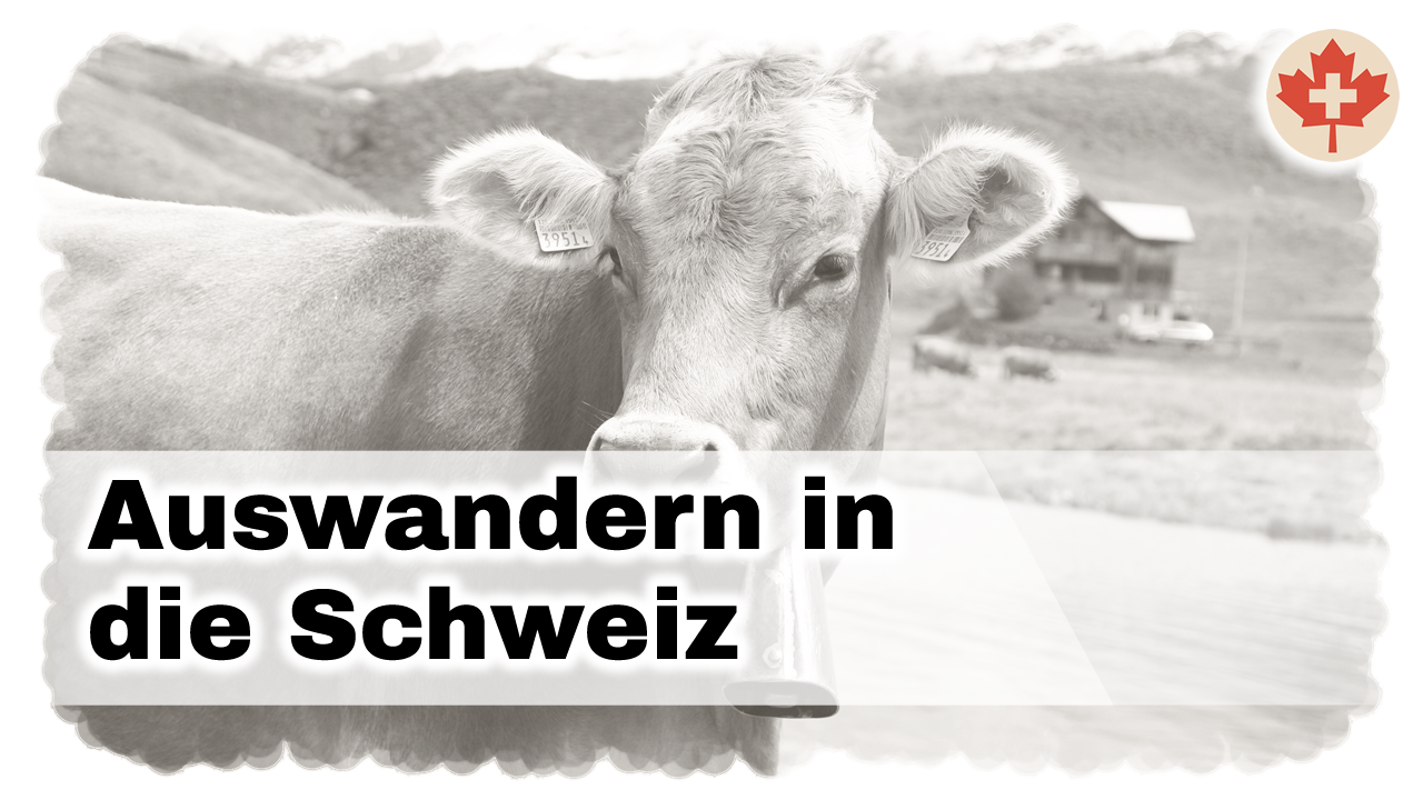 Wir drehen den Spiess mal um. Was ist wichtig, wenn man in die Schweiz auswandert?